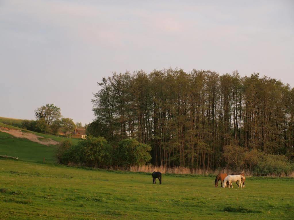 Mon Hostel & Vandrehjem 博雷 外观 照片